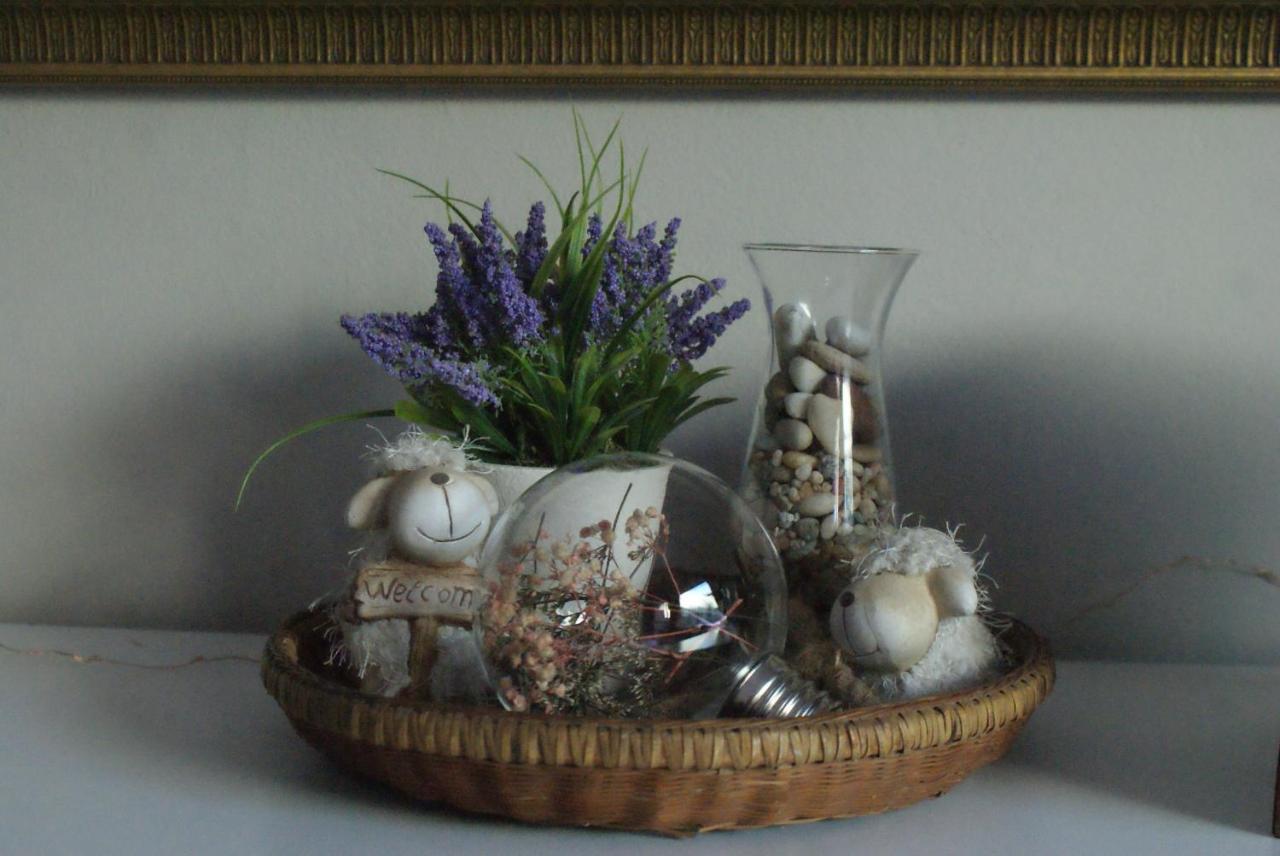 Ashtree Guesthouse Hanover Road Εξωτερικό φωτογραφία