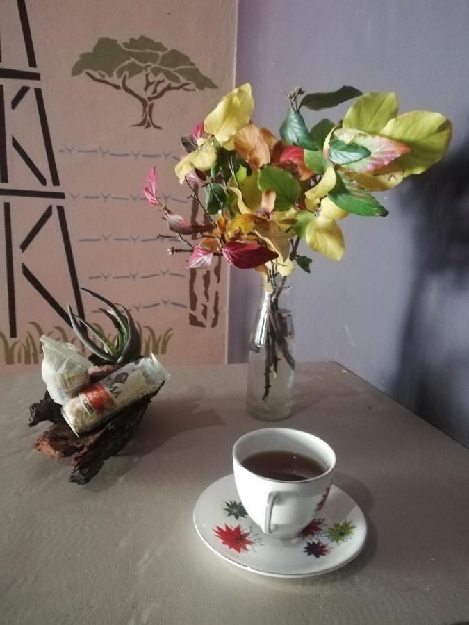 Ashtree Guesthouse Hanover Road Εξωτερικό φωτογραφία